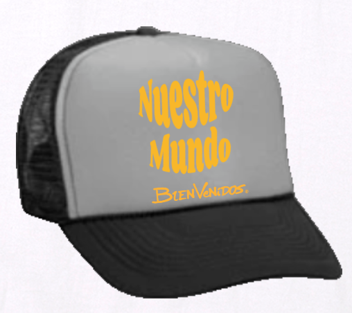 【数量限定】BVツートンメッシュキャップ グレーX ブラック MULTIPLE2