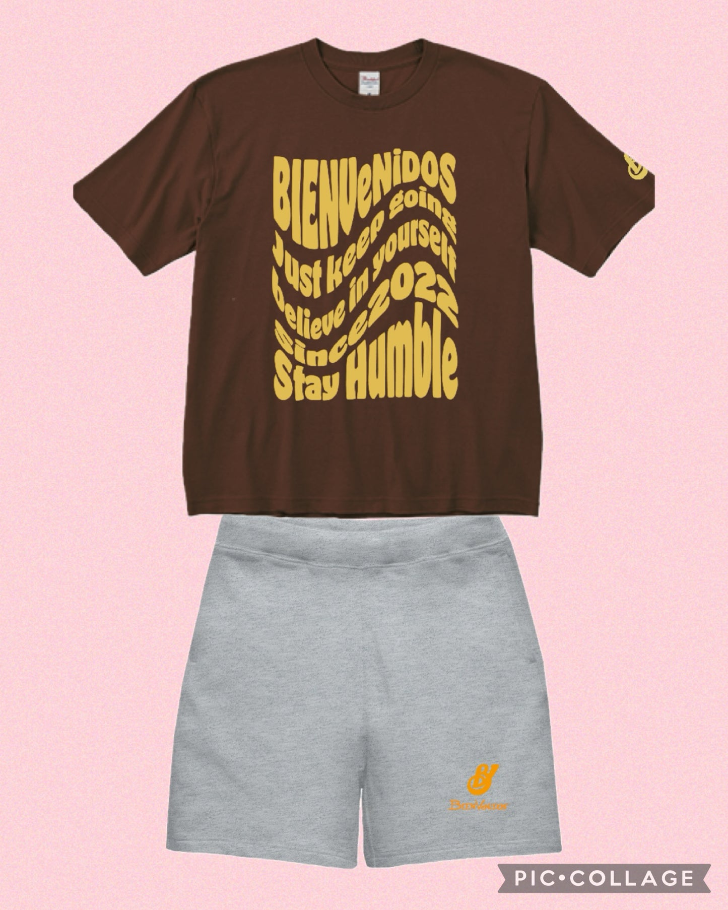 BVビックシルエット半袖Tシャツ ブラウン OLA
