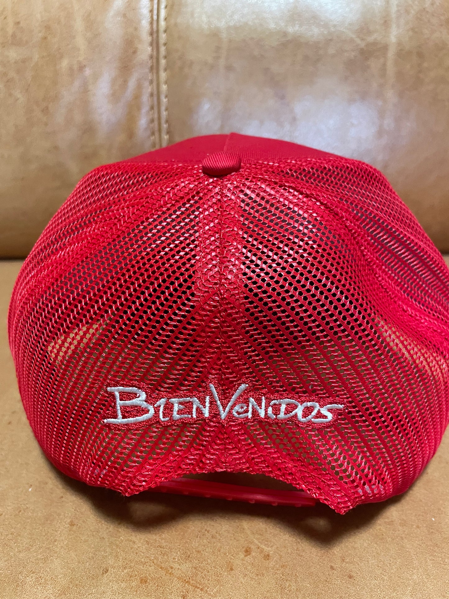 【数量限定】BVメッシュキャップ レッド SINGULAR