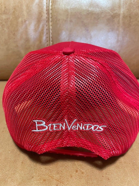 【数量限定】BVメッシュキャップ レッド SINGULAR