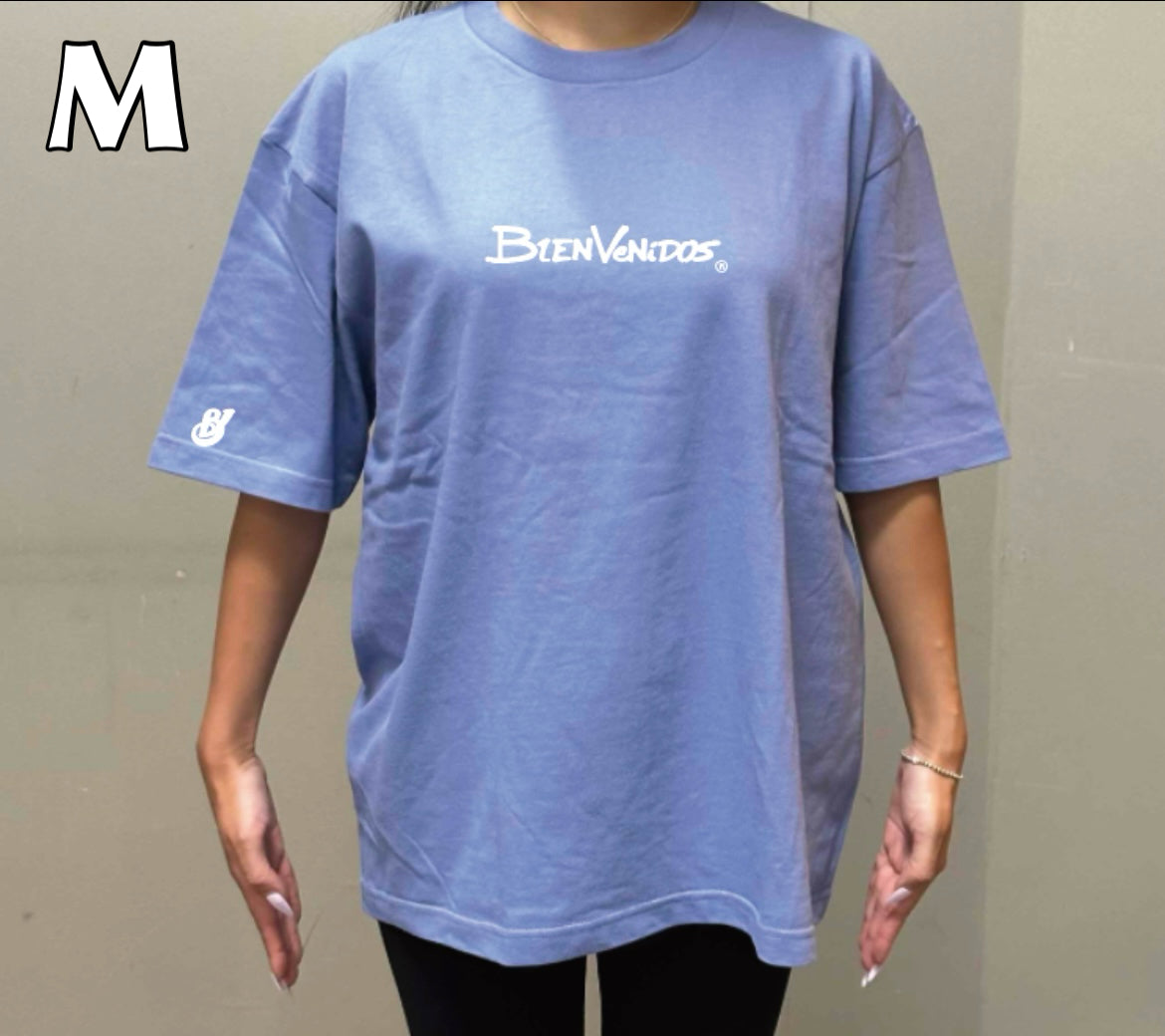 BVビックシルエット半袖Tシャツ ダスティブルー LIGERO