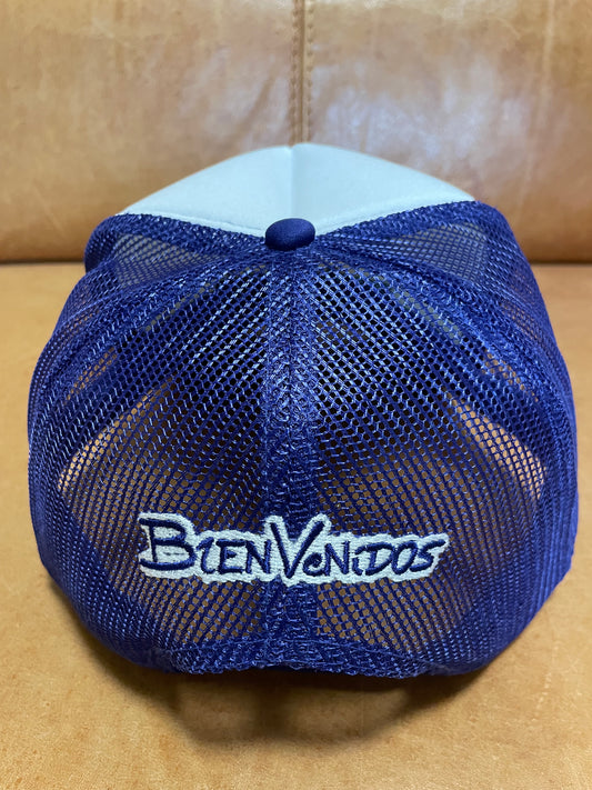 【数量限定】BVツートンメッシュキャップ ホワイト X パープル MULTIPLE