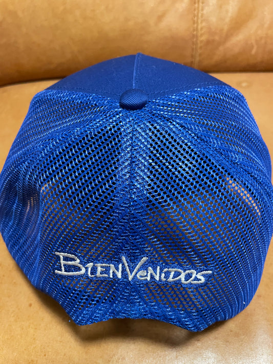 【数量限定】BVメッシュキャップ ロイヤルブルー SINGULAR